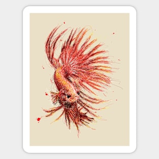 betta Sticker